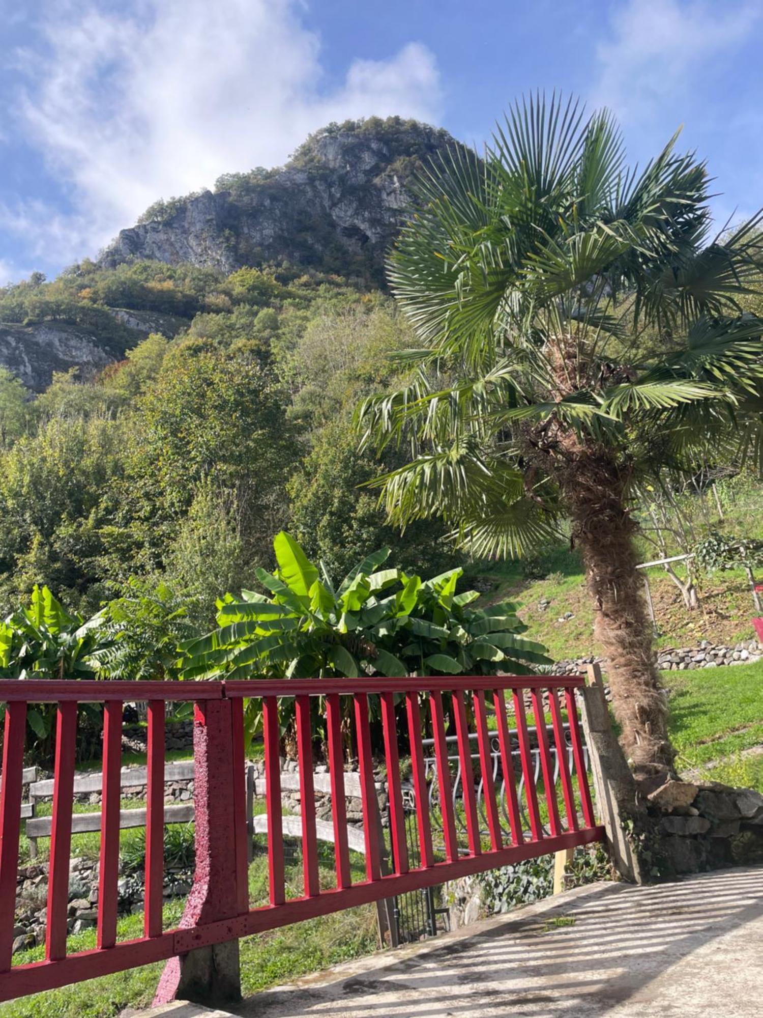 La Auarje: Appartement Avec Jardin & Terrasse Cierp Esterno foto